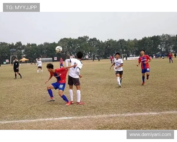 深圳乒乓球队的边路渗透战术解析与深度剖析