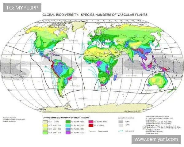 中国与印度足球队的历史对抗与未来展望分析