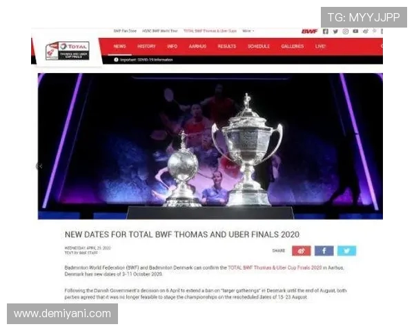 南京羽毛球队杯赛征程回顾与突破成就的深度剖析