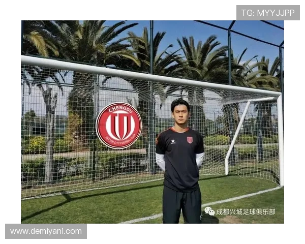 成都与北京羽毛球队对决赛后分析与节奏掌控的深度探讨