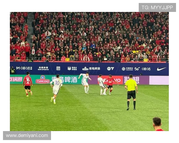 杭州排球队节奏之争引发热议球迷观点各异探讨比赛风格与战术选择