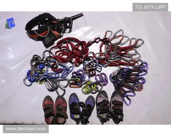 武汉攀岩队的蜕变之旅：从传统训练到现代竞技的全新探索