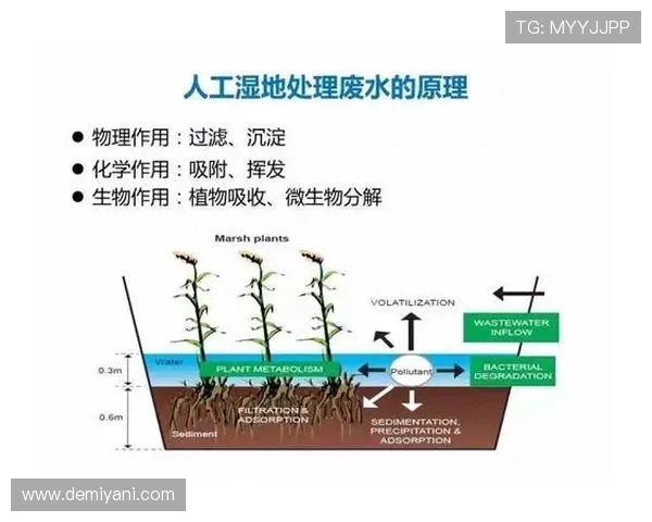 科学排球训练新方法提升运动员状态与竞技表现的全面指南