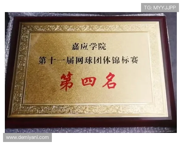 北京网球队的运营分析与发展策略探讨及其面临的挑战与机遇